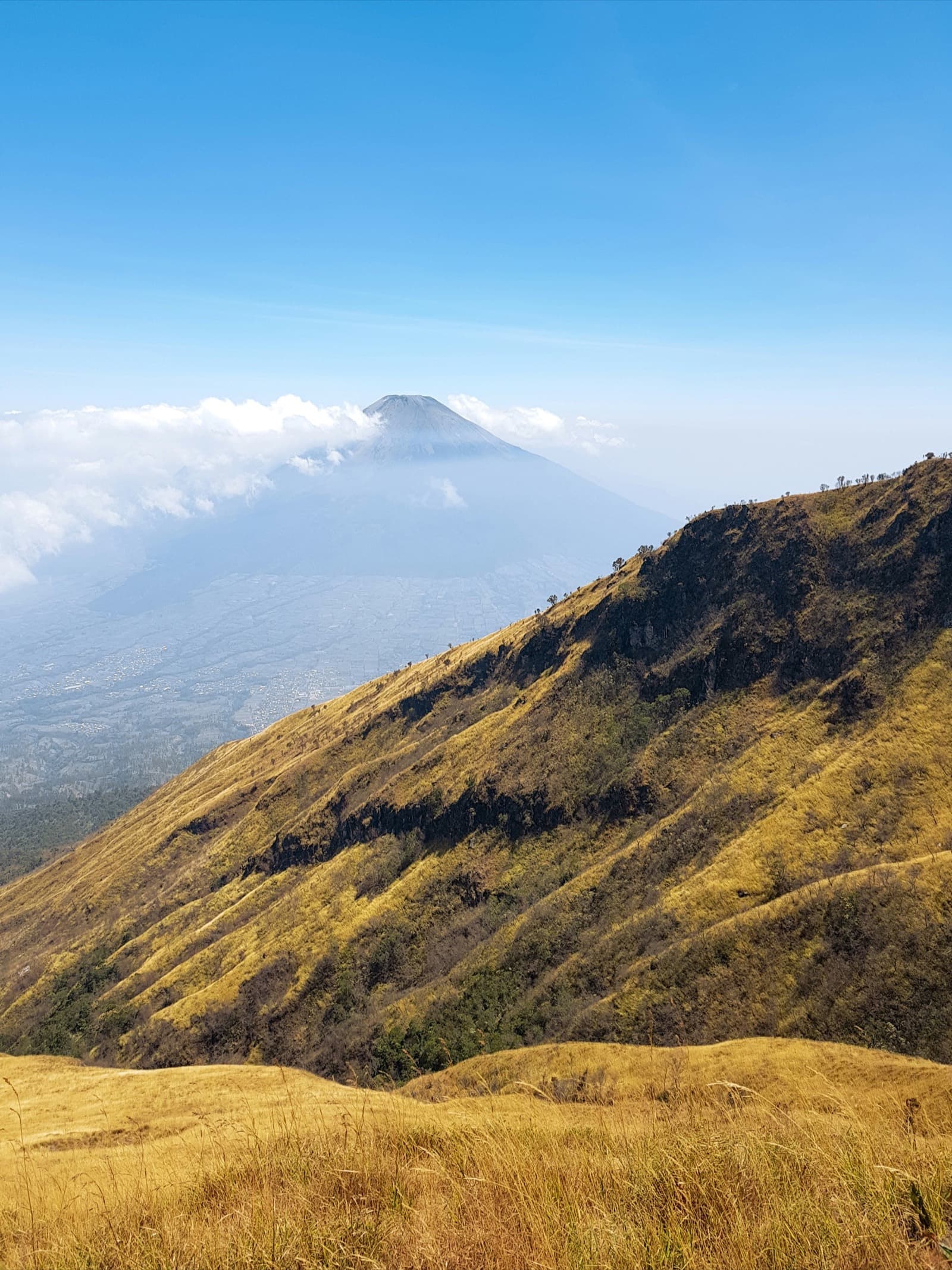 North coast of Central Java, where the workshop sits